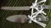Crystal Handled Cake Knife & Server