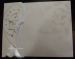 Diamond Dove Guest Book.