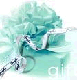 Platinum By Design Guest Book